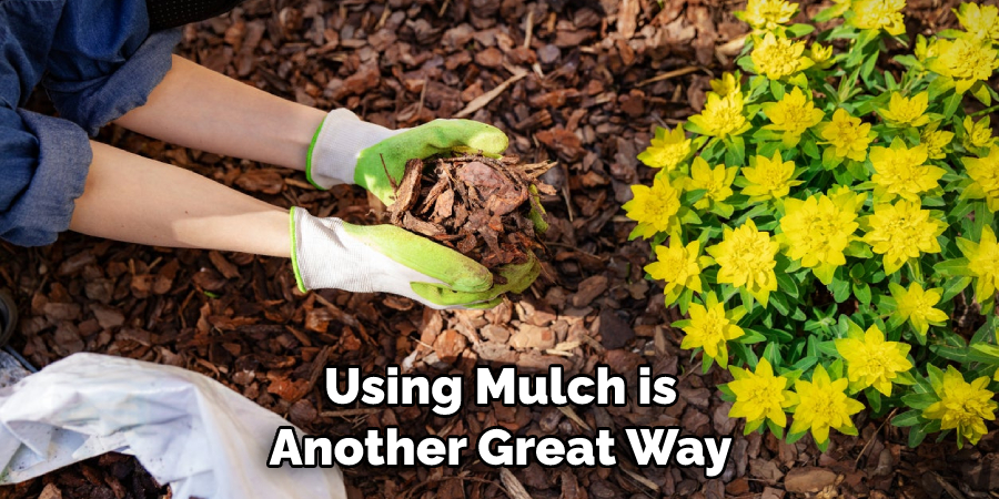 Using Mulch is Another Great Way