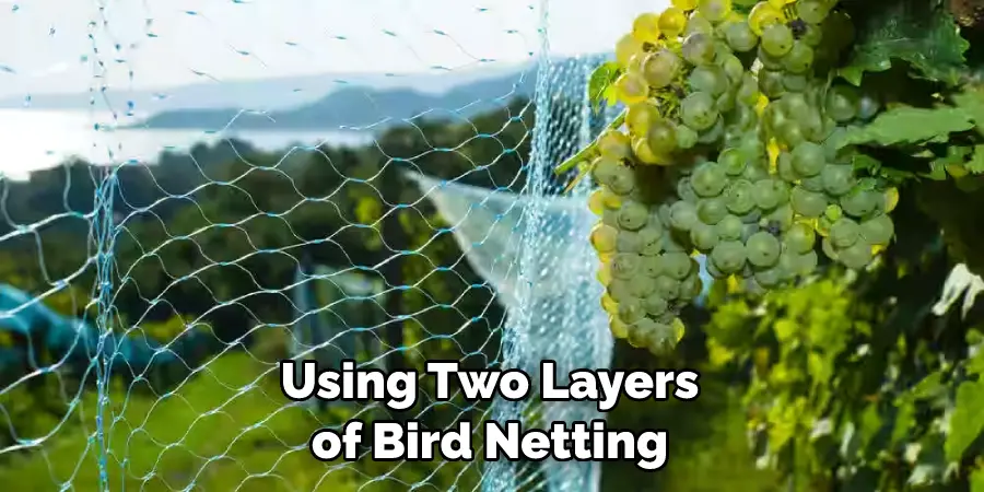 Using Two Layers of Bird Netting