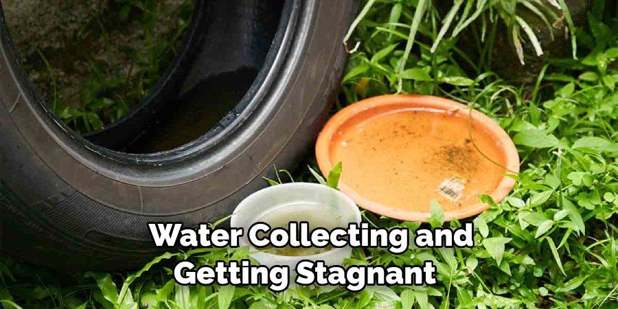 Water Collecting and Getting Stagnant 