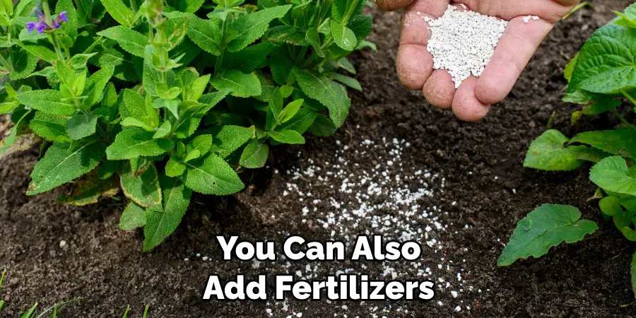 You Can Also Add Fertilizers