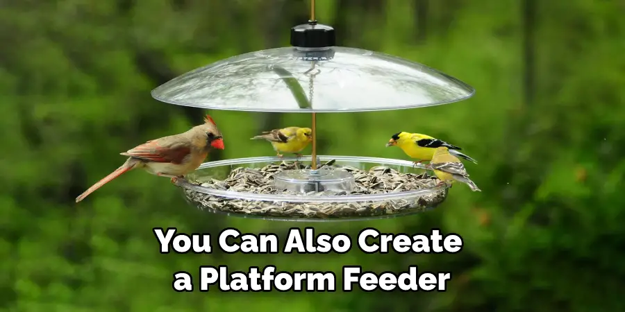 You Can Also Create a Platform Feeder