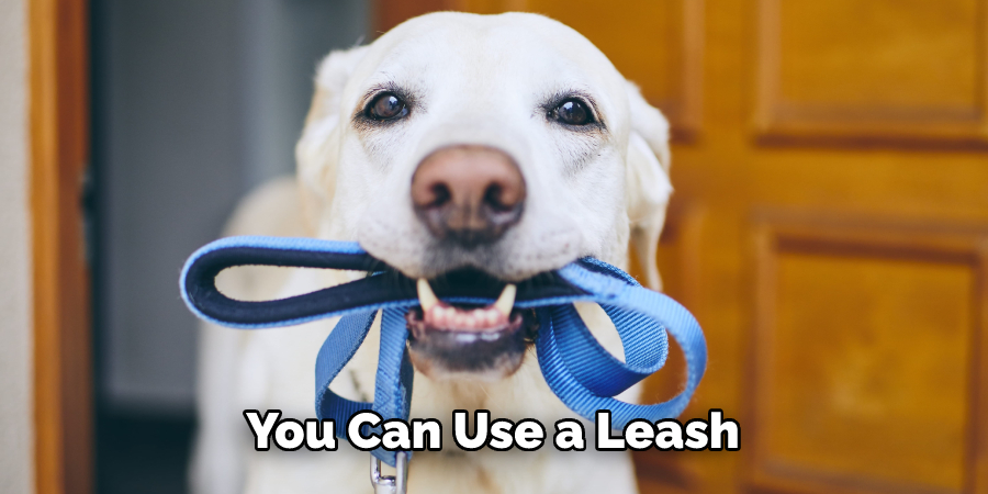 You Can Use a Leash