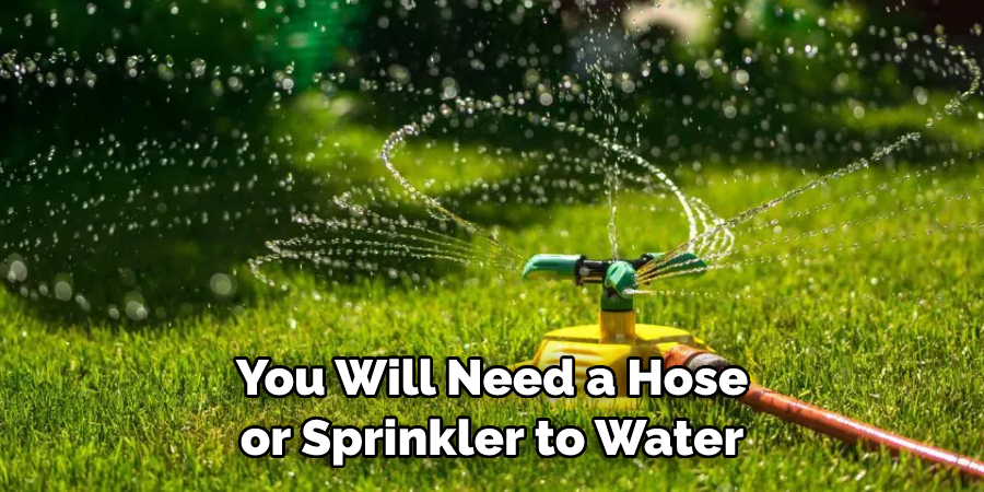 You Will Need a Hose or Sprinkler to Water