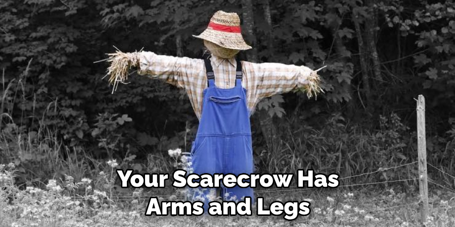 Your Scarecrow Has Arms and Legs