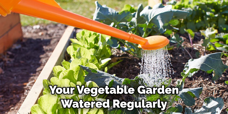 Your Vegetable Garden Watered Regularly