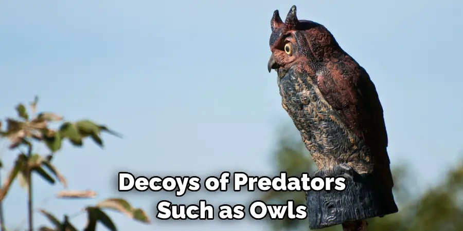 Decoys of Predators Such as Owls