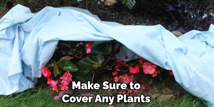 Make Sure to Cover Any Plants