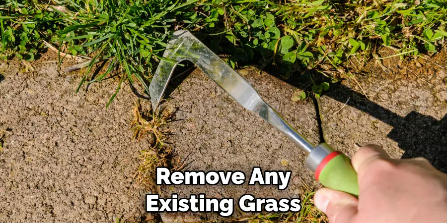 Remove Any Existing Grass