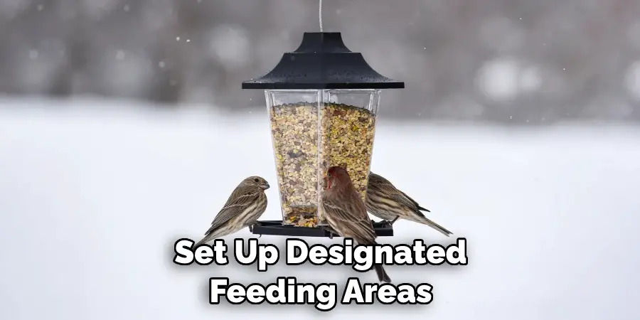 Set Up Designated Feeding Areas