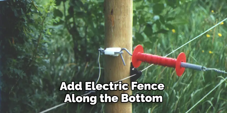 Add Electric Fence Along the Bottom