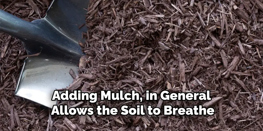 Adding Mulch, in General, Allows the Soil to Breathe
