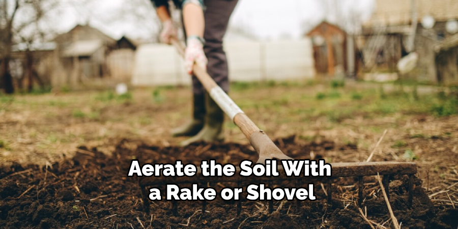 Aerate the Soil With a Rake or Shovel