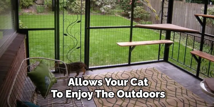 Allows Your Cat To Enjoy The Outdoors