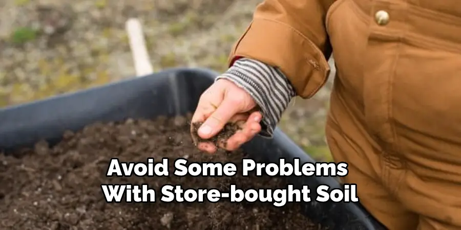 Avoid Some Problems With Store-bought Soil

