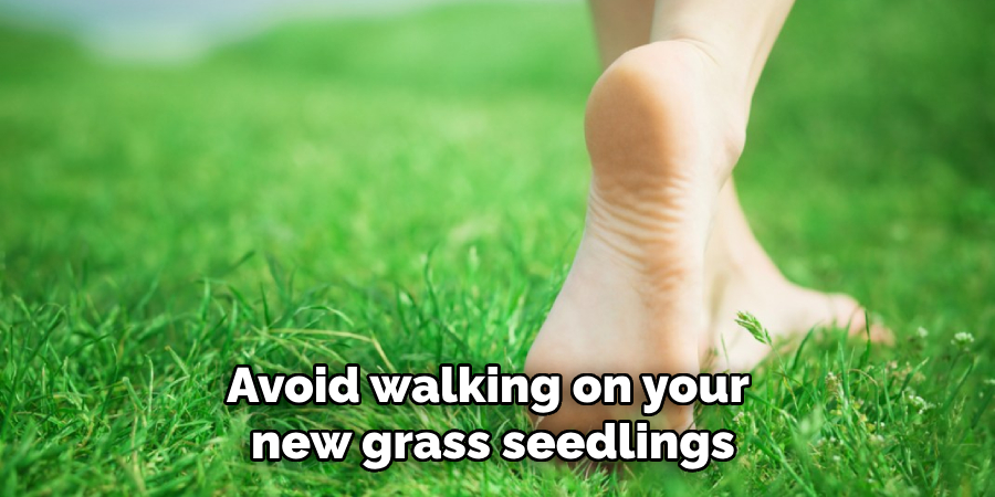 Avoid walking on your new grass seedlings