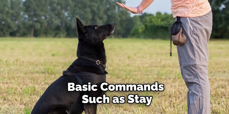 Basic Commands Such as Stay