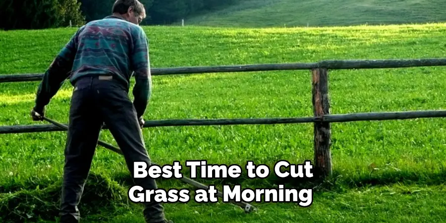  Best Time to Cut Grass is in the Morning 