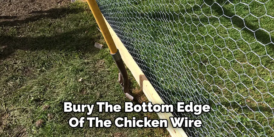 Bury The Bottom Edge Of The Chicken Wire 