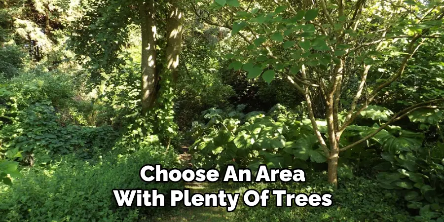 Choose An Area With Plenty Of Trees