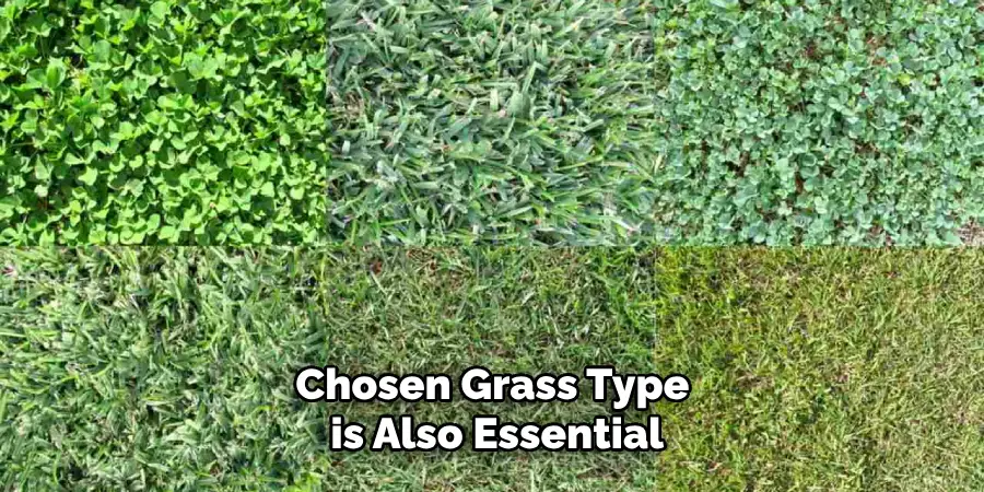 Chosen Grass Type is Also Essential