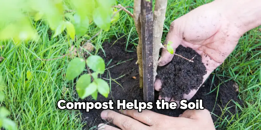 Compost Helps the Soil