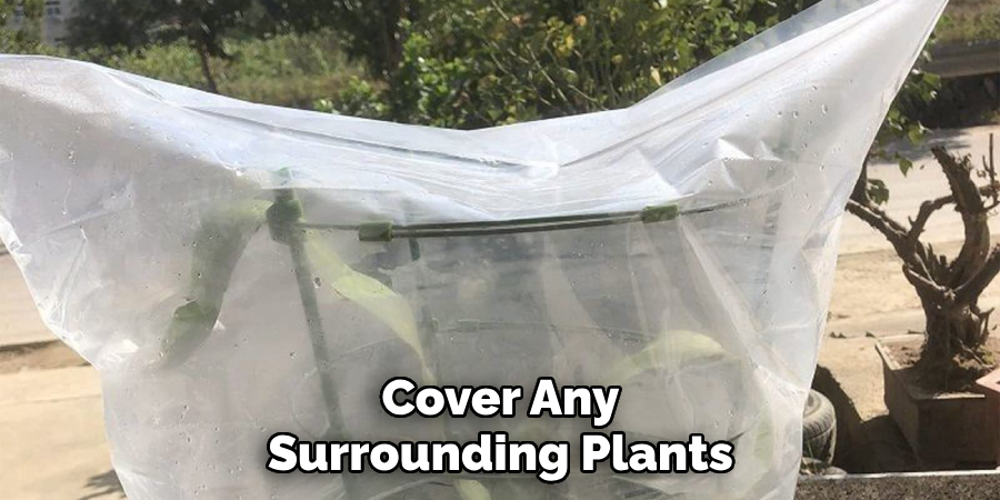 Cover Any Surrounding Plants