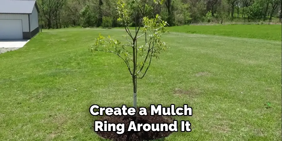 Create a Mulch Ring Around It