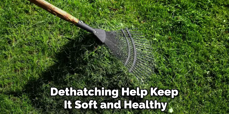 Dethatching Help Keep It Soft and Healthy