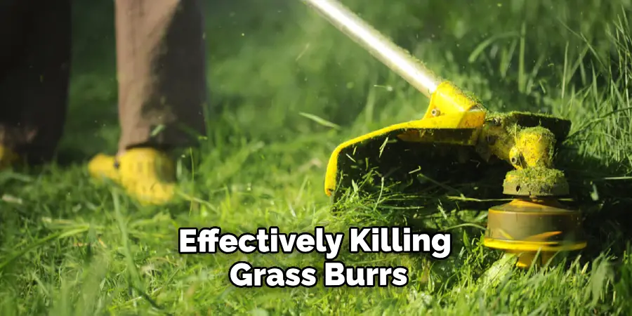 Effectively Killing Grass Burrs