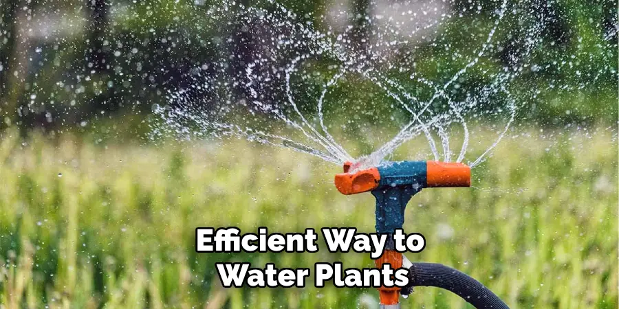 Efficient Way to Water Plants