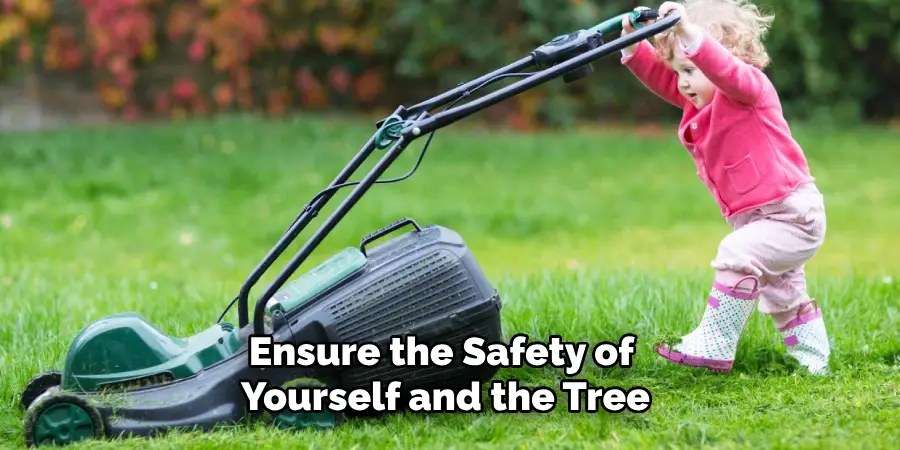 Ensure the Safety of Yourself and the Tree