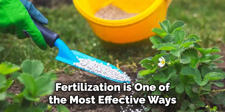 Fertilization is One of the Most Effective Ways