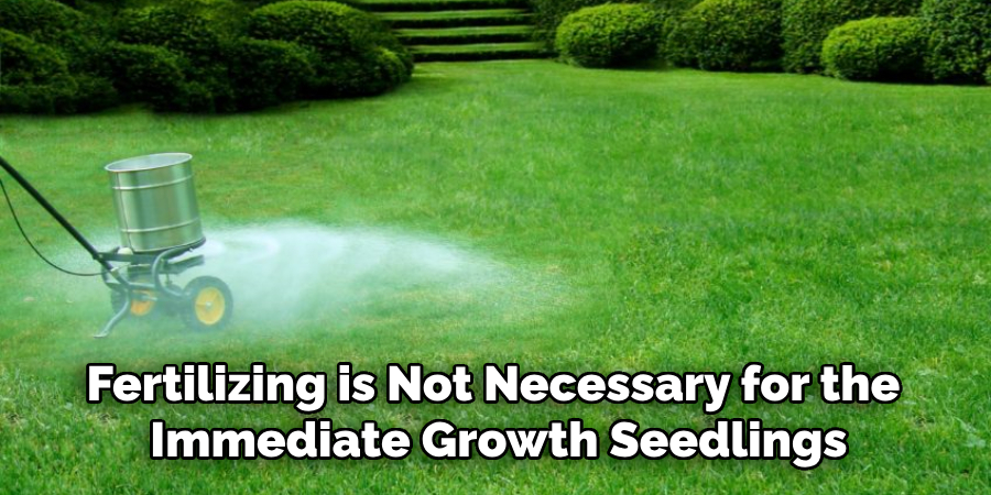 Fertilizing is Not Necessary for the Immediate Growth of Your New Grass Seedlings
