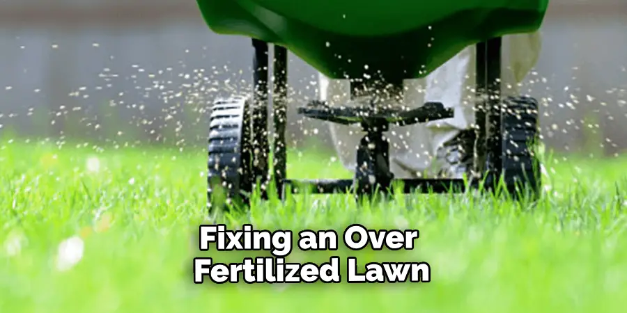 Fixing an Over Fertilized Lawn