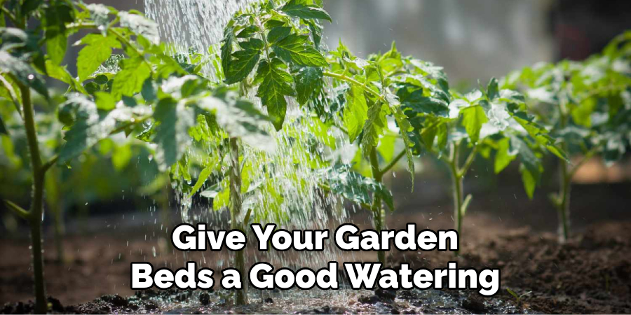 Give Your Garden Beds a Good Watering