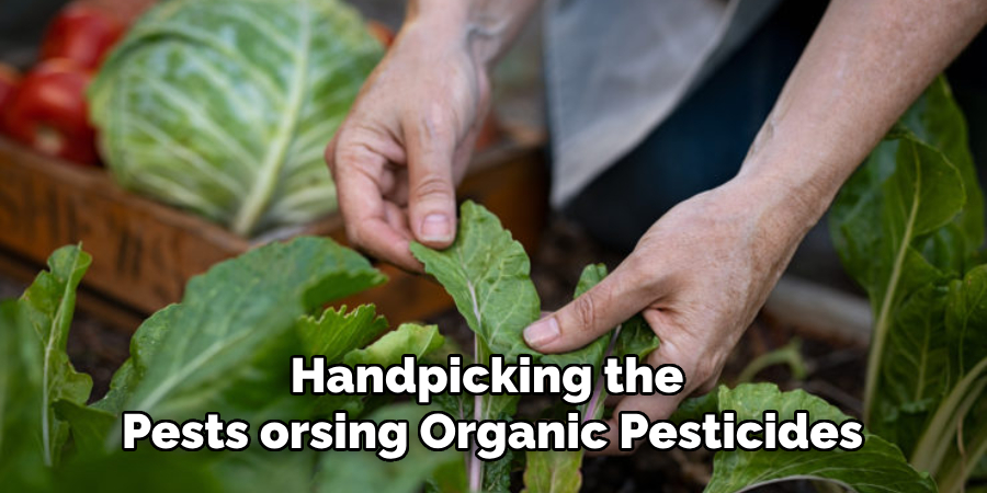 Handpicking the Pests or Using Organic Pesticides