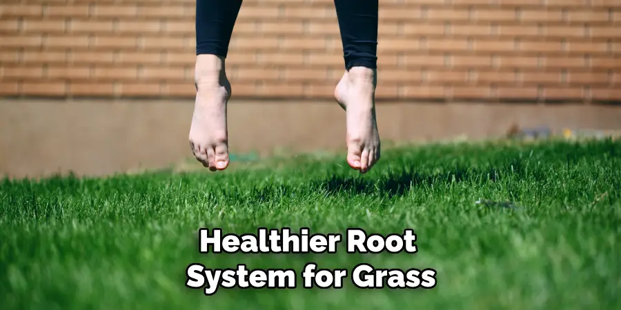 Healthier Root System for Your Grass