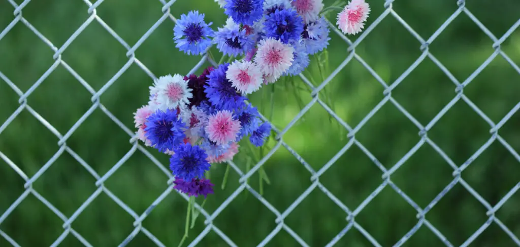 How to Decorate a Chain Link Fence