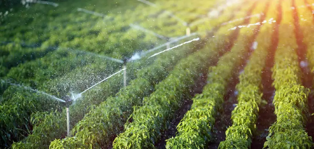 How to Design a Irrigation System