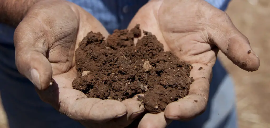 How to Make Soil from Scratch

