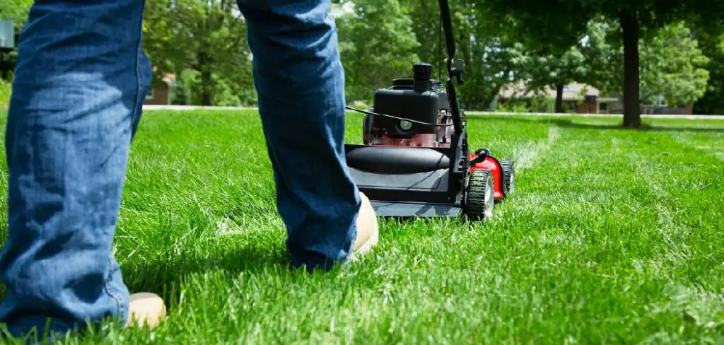 How to Mow Around Trees