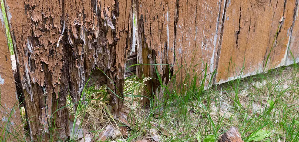 How to Protect Fence from Rotting