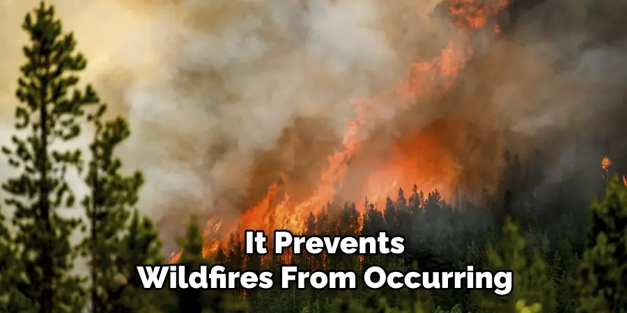 It Prevents Wildfires From Occurring