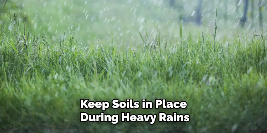 Keep Soils in Place During Heavy Rains