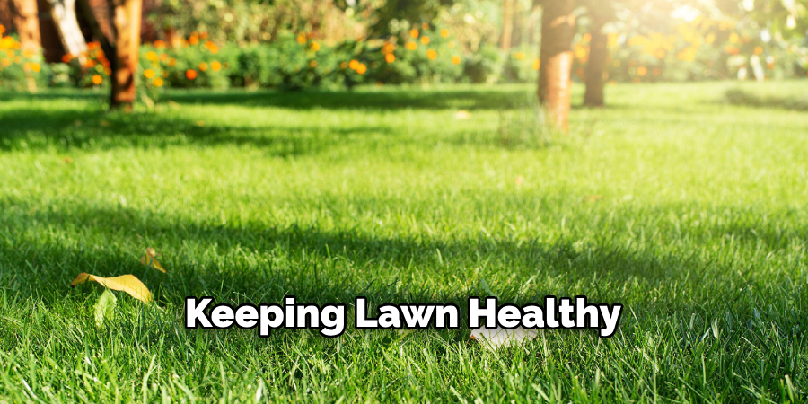Keeping Your Lawn Healthy