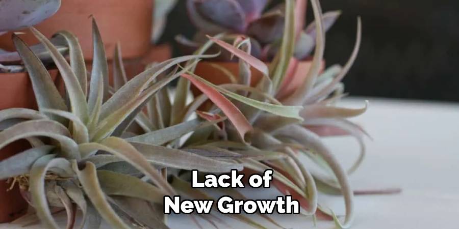 Lack of New Growth