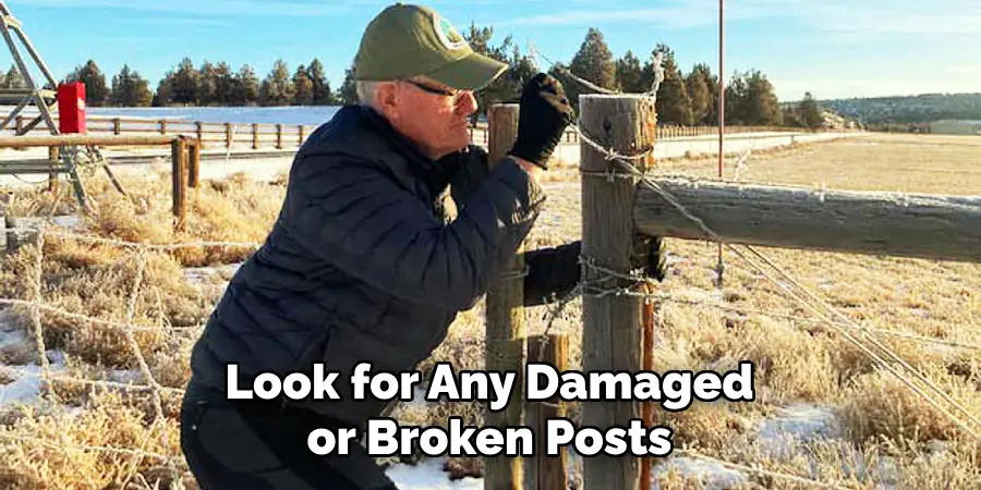 Look for Any Damaged or Broken Posts