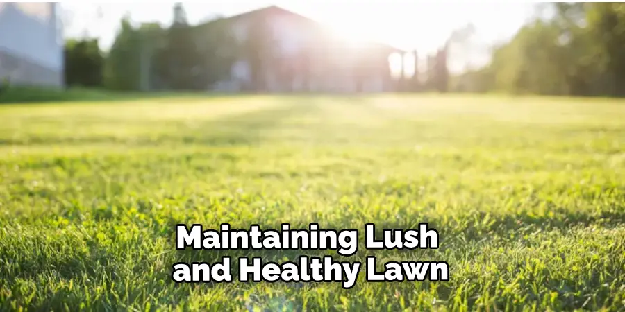 Maintaining Lush and Healthy Lawn