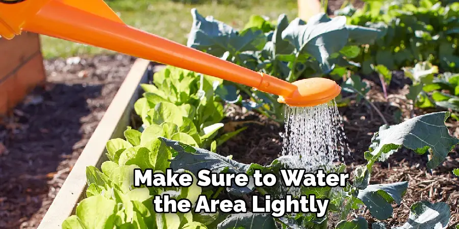 Make Sure to Water the Area Lightly