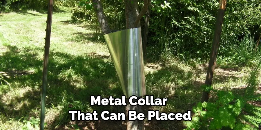 Metal Collar That Can Be Placed